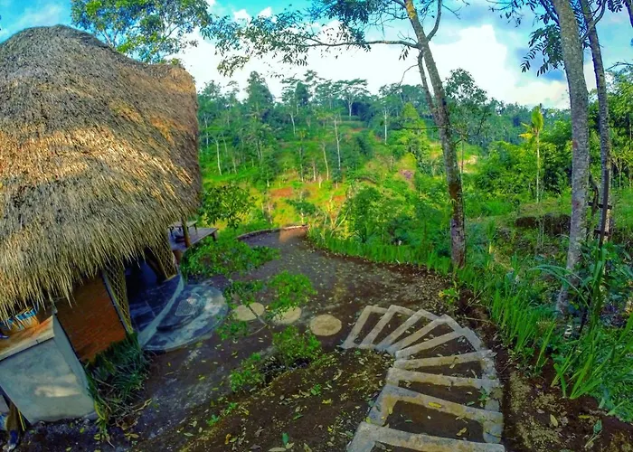 Hidden Bamboo House *