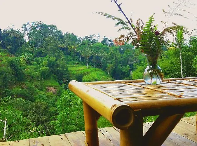 ベッド・アンド・ブレックファスト Hidden Bamboo House *