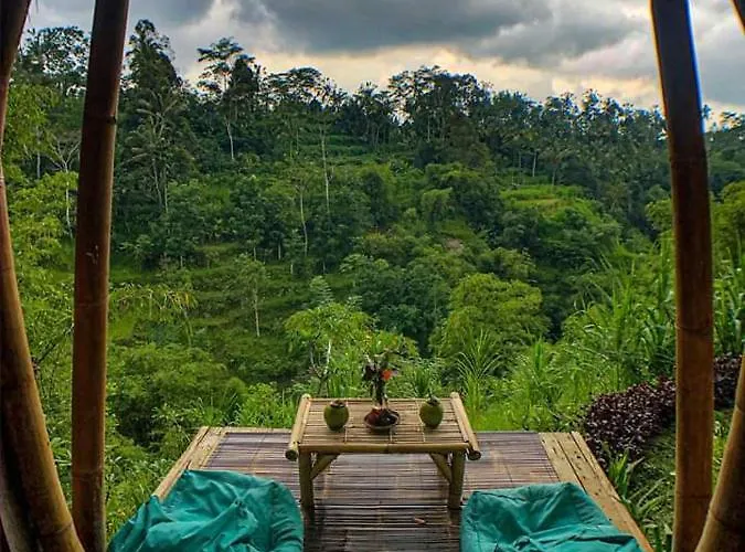 ベッド・アンド・ブレックファスト Hidden Bamboo House *